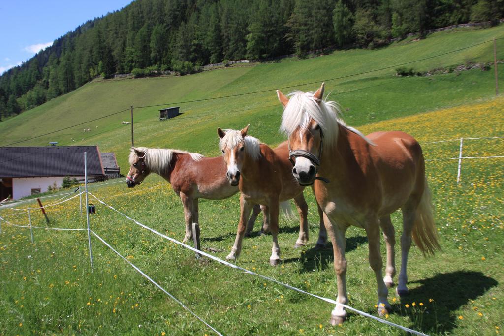 Omesbergerhof Villa Neustift im Stubaital Buitenkant foto
